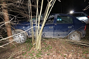 Uszkodzony samochód przy drzewie
