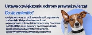 ochrona zwierząt