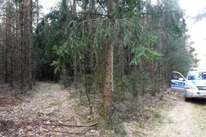 zdjęcie robione w lesie. Na drzewie zawieszony sznurek a obok radiowóz policyjny