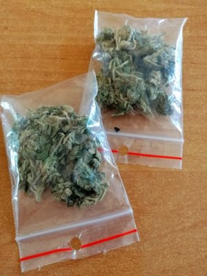 dwie torebki strunowe z zawartością zielonego suszu roślinnego, który po sprawdzeniu narkotesterem okazał się marihuaną
