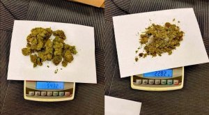 wagi wraz z zabezpieczonym suszem roślinnym, który po wstępnym badaniem narkotesterem okazał się marihuaną.