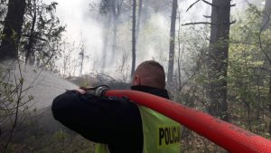 Policjant gasi pożar lasu.