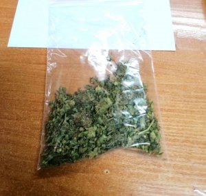 susz roślinny koloru zielonego w foliowym woreczku na stole; wstępne badanie narkotesterem potwierdziło ze to marihuana