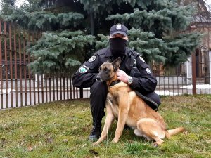 Policjant z psem służbowym na trawniku.