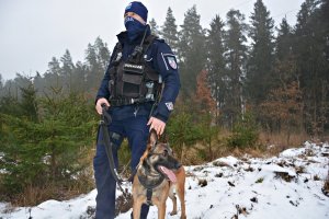 Policjant z psem stoją w lesie.