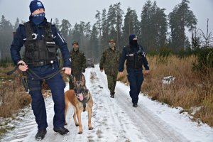 Policjanci z psem i strażnicy leśni idą po zaśnieżonej drodze.