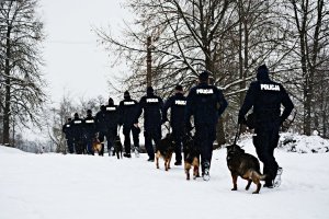 policjanci w mundurach z psami