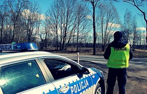 policjant stoi na zewnątrz, obok radiowozu; w tle droga, drzewa, niebo
