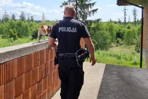 policjant z psem pies idący po niewykończonym murze