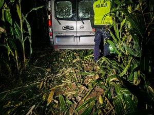 pole kukurydzy pomiędzy roślinami pojazd przed nim policjant