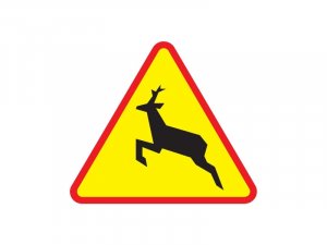 Znak ostrzegający o dzikich zwierzętach