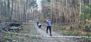 Zawodnicy w trakcie biegu w lesie.