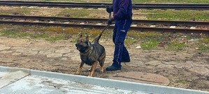 Przewodnicy psów służbowych podczas szkolenia