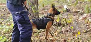 Policjanci na zawodach z psami służbowymi