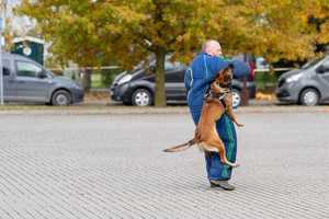 Policjanci na zawodach z psami służbowymi