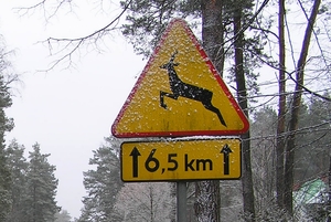 znak drogowy ostrzegający o zwierzętach