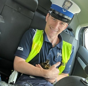 policjant trzymające małe kaczuszki