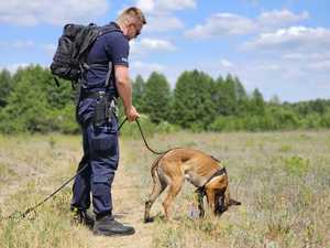 Psy policyjne i policjanci