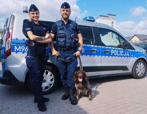 radiowóz, policjantka , przewodnik wraz z psem