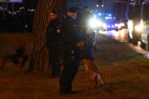 policjant i pies policyjny