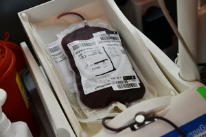 oddawanie krwi