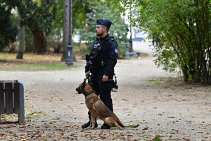 policjanci zabezpieczają zgromadzenia