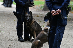 policjanci zabezpieczają zgromadzenia