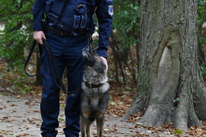 policjanci zabezpieczają zgromadzenia