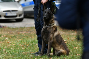 policjanci zabezpieczają zgromadzenia