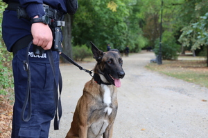 Policjanci zabezpieczają zgromadzenia