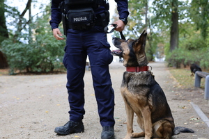 Policjanci zabezpieczają zgromadzenia