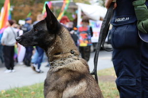 Policjanci zabezpieczają zgromadzenia