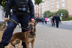 Policjanci zabezpieczają zgromadzenia