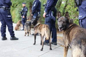 Policjanci zabezpieczają zgromadzenia