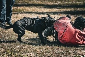 Policjanci oraz uczniowie na Wojewódzkich eliminacjach do I Ogólnopolskiego Przeglądu Musztry Klas Mundurowych