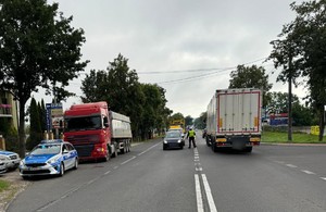 policjanci kontrolują pojazdy