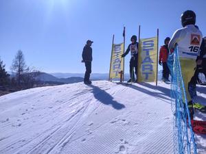 policjanci podczas zawodów