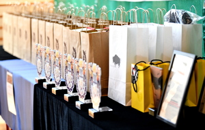 turniej bezpieczeństwa w ruchu drogowym