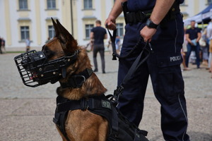 Uroczystości Święta Policji