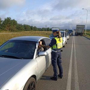 działania tzreżwość