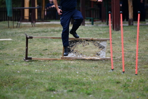 policjanci podczas eliminacji