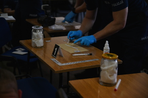 policjanci podczas eliminacji