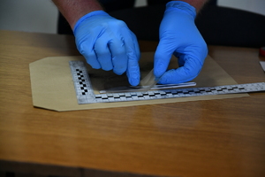 policjanci podczas eliminacji