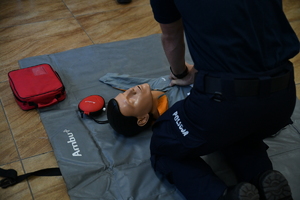 policjanci podczas eliminacji