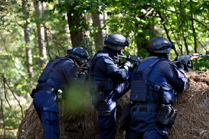 Stal 2025 ćwiczenia