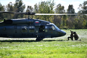 Stal 2025 ćwiczenia