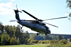 Stal 2025 ćwiczenia