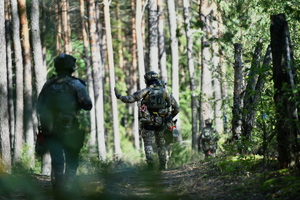 Stal 2025 ćwiczenia