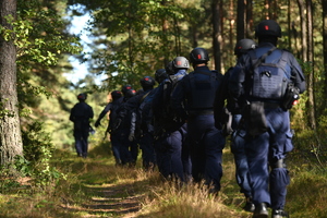 Stal 2025 ćwiczenia