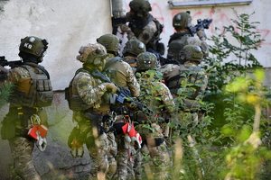 Stal 2025 ćwiczenia